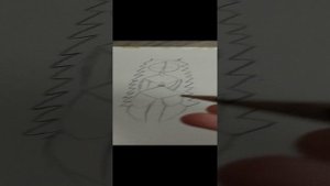 тутор как нарисовать Мисс циркуль