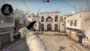Knife Glove Combo Snow Leopard Gloves and Huntsman Knife Black Laminate CS:GO
