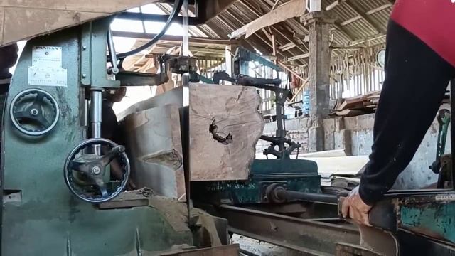 The giant teak wood is very dangerous and full of surprises, look what happens! смотреть онлайн