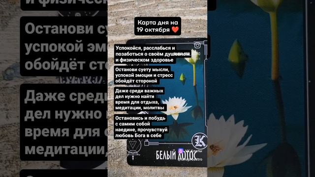 ПОДПИШИСЬ ❤️ КАРТА ДНЯ ❤️ ХРОНИКИ АКАШИ ❤️ЛАНА ПРО#астрологланапро  #астрология #натальнаякарта