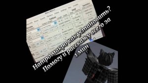 Как установит натро макро