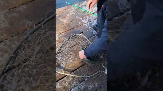 Между интервью запечатлили результативную поимку на лесном берегу и сразу включили камеру.
