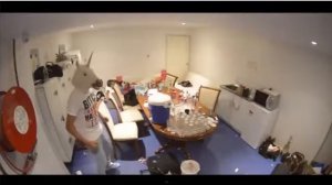 TOP 10   ЛУЧШИЕ HARLEM ВЕРСИИ SHAKE