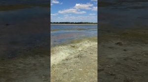 Молочный лиман Гирсовка.