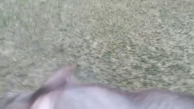 Дюрок 9.5 месяцев. Обзор по просьбам. смотреть онлайн