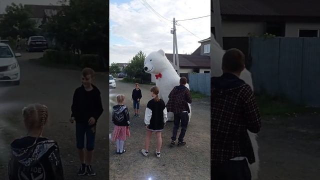 Поздравление от белого мишки в Оренбурге смотреть онлайн