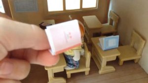 Школа Sylvanian Families