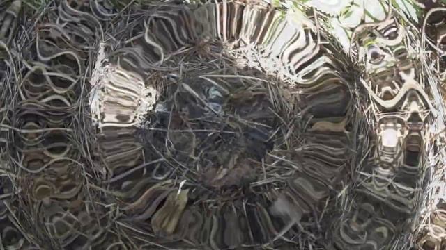 133 Кротоловки СКАТ 62 или сибртех 94116 результаты испытаний 2019 смотреть онлайн