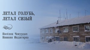 Летал голубь, летал сизый (Чокурдах, Индигирка): редкая запись, рассказ о песне