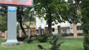 ВЛОГ Алиса поймала бабочку!! Мы Дома!!!  Мили Ванили