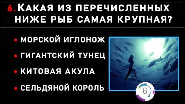 ЛЕГКИЙ ТЕСТ: 10 вопросов НА ОБЩИЕ ЗНАНИЯ, которые ВЫВЕДУТ ВАШУ ЭРУДИЦИЮ НА ЧИСТУЮ ВОДУ