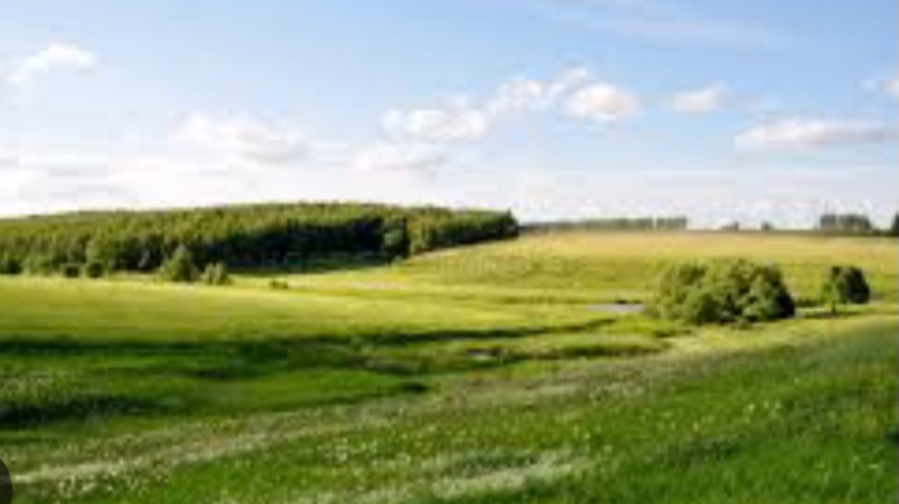 Москва и область на автомобиле. Прогулка смотреть онлайн