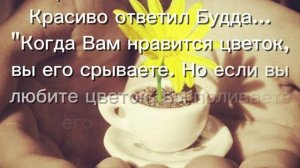 ЖИЗНЬ