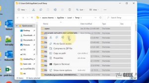 application.exe has stopped working on Windows 11 [FIX]