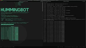 Hummingbot Quickstart - Exercise I