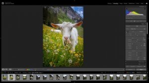 4 Best Ways To Edit Once & Use Many Times. Lightroom TIPS & TRICKS