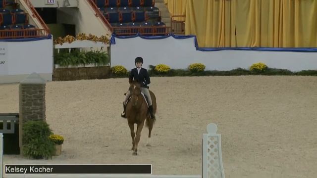 305 LOOKOUT Kelsey Kocher, Class 28 Small Junior Hunter 16 17 Handy смотреть онлайн
