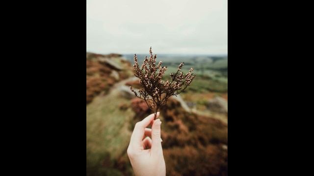 (FREE) Miyagi & Andy panda Type beat - Time(Prod.Wolf music)