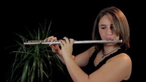 Lord of the Rings - In Dreams - Flute