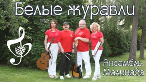 Ансамбль Малинада "Белые журавли"  #ansambl_malinada, #belye_zuravli, #posvyazhenie_Rasulu_Gamzatovu