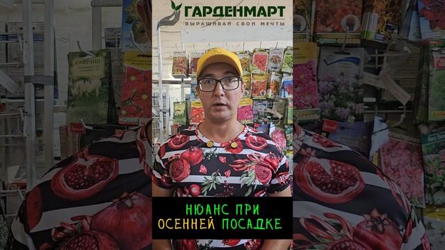 Что нужно сделать при осенней посадке