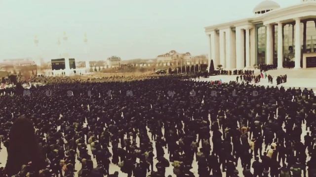 Dr israr Ahmad about army of Islam ♥️ смотреть онлайн