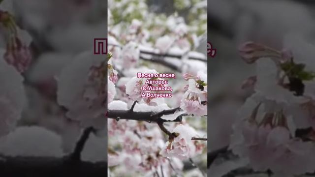 Приобретайте минусовки, пойте лучше нас!