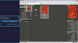 Adobe Bridge _Move Copy Delete