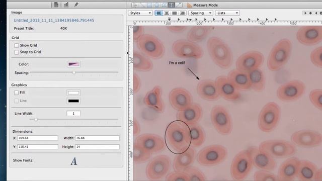 INFINITY ANALYZE for Mac Part 4: Editing Images смотреть онлайн