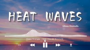 Glass Animals - Heat Waves - (Lyric Video) (S O N G)