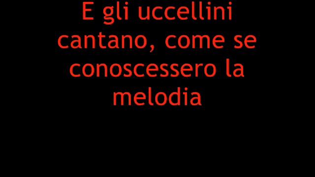 Songbirds (traduzione)