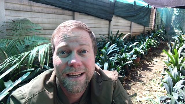 Plant light meter phone App!! смотреть онлайн