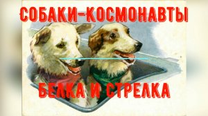 История Космонавтики: "Собаки-космонавты. Белка и Стрелка"