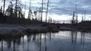 Рыбалка на лесном озере! Поплавок и самоловки!