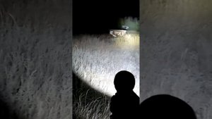 Sofirn sp70 , ночной тест