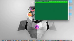 How To Change Dock Size Using Terminal - (Mac)