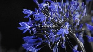 Kizaru - Cinderella (slowed + reverb)