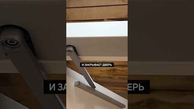 САМАЯ БЕЗОПАСНАЯ ДВЕРЬ #входныедвери #замок #доводчик #электромеханическийзамок