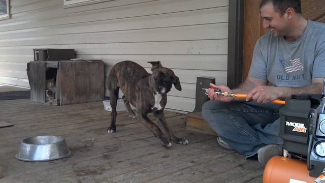 Colt vs air compressor! смотреть онлайн