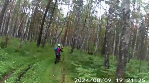 прохват по заброшенной дороге