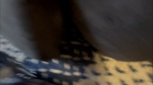 Dell Optiplex 7020 - Overview