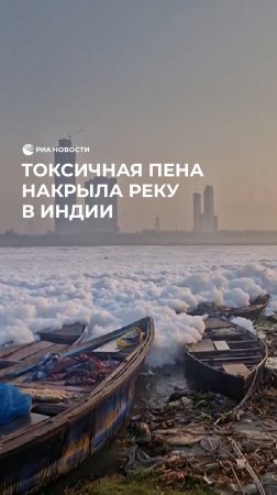 Токсичная пена накрыла реку в Индии