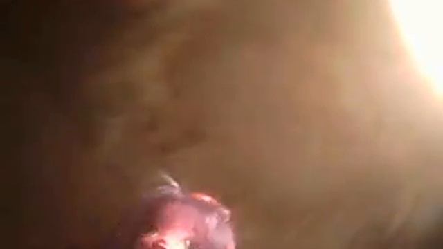 Мои куклы эквестрии гёрлз флатти рэрити и твай смотреть онлайн