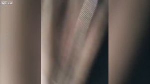 LiveLeak!!!   Kid shooting the street out of his window and posting it on Insta