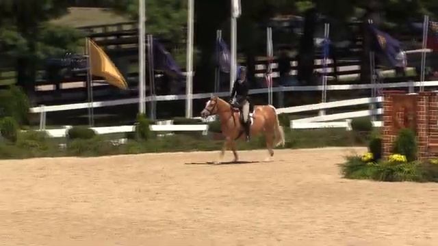Video of CALIFORNIA DREAMIN' ridden by CHASE FINIZIO from ShowNet! смотреть онлайн