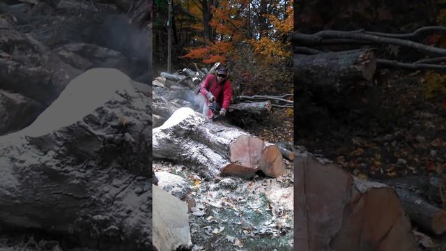 More wood cutting 10/24/15 смотреть онлайн