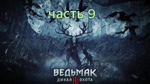 Ведьмак 3 Дикая Охота часть 9