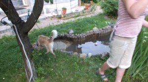 Вода Вита земляника