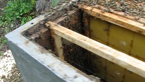 противороевые мероприятия ( 3 )