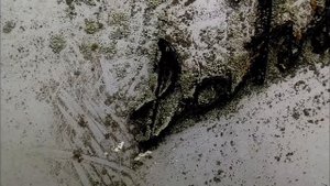 БРОШЕННКИ СПЕЦ. ВЫПУСК! | НАСТОЯЩАЯ ЛЕГЕНДА СССР! | 15 ЛЕТ БЕЗ ДВИЖЕНИЯ | ЗАБРОШЕННЫЙ РАФ 2203.